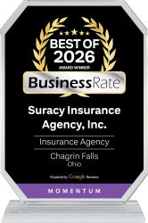 award-crystal-BR602919